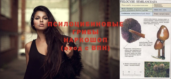 гидропоника Абдулино